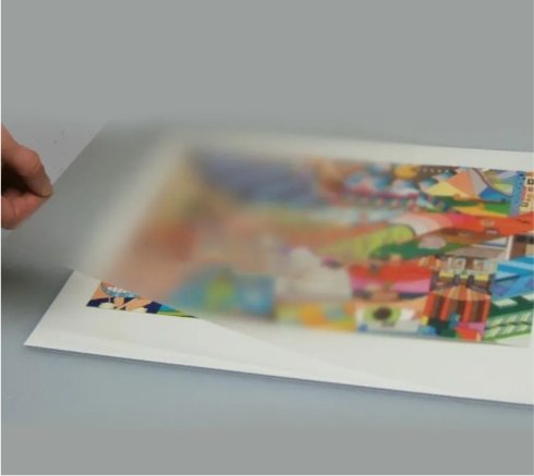 Print Protection