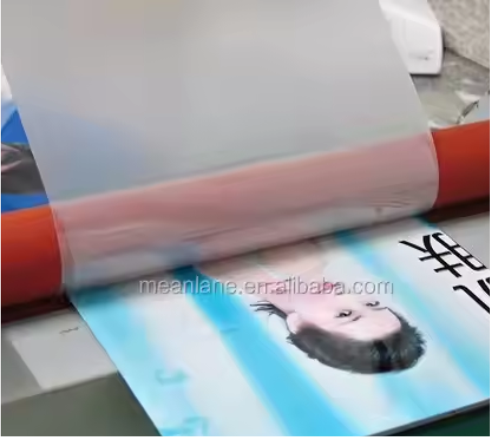 Exhibition Graphics